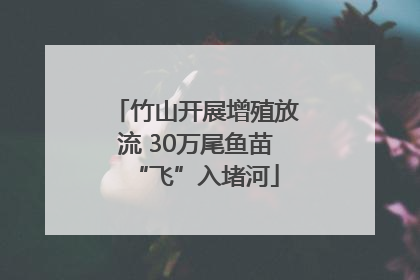 竹山开展增殖放流 30万尾鱼苗“飞”入堵河