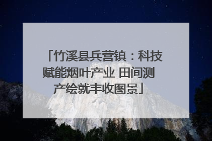 竹溪县兵营镇：科技赋能烟叶产业 田间测产绘就丰收图景
