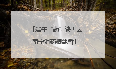 端午“药”诀！云南宁洱药根飘香