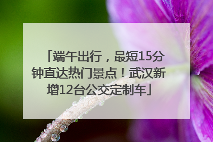 端午出行，最短15分钟直达热门景点！武汉新增12台公交定制车