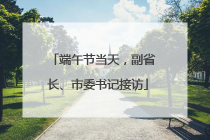 端午节当天，副省长、市委书记接访