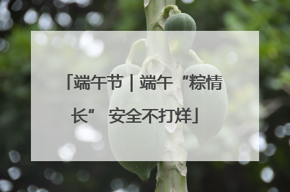 端午节｜端午“粽情长” 安全不打烊