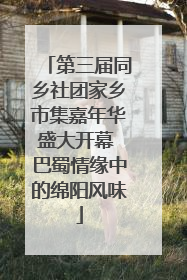第三届同乡社团家乡市集嘉年华盛大开幕 巴蜀情缘中的绵阳风味