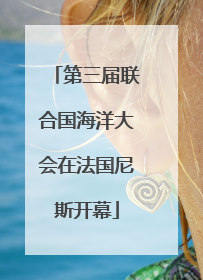 第三届联合国海洋大会在法国尼斯开幕