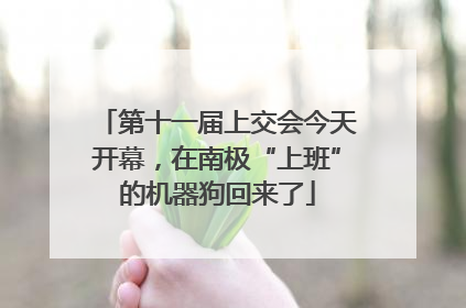第十一届上交会今天开幕，在南极“上班”的机器狗回来了