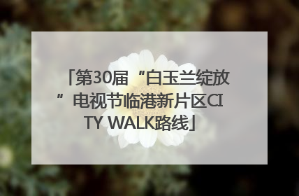 第30届“白玉兰绽放”电视节临港新片区CITY WALK路线
