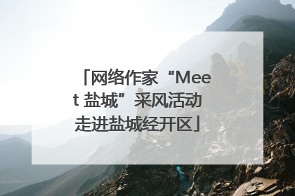 网络作家“Meet 盐城”采风活动走进盐城经开区
