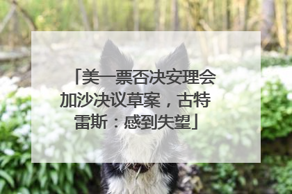 美一票否决安理会加沙决议草案，古特雷斯：感到失望