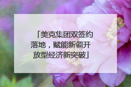 美克集团双签约落地，赋能新疆开放型经济新突破