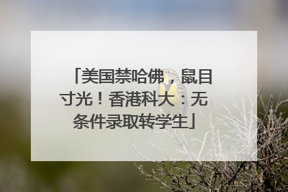 美国禁哈佛，鼠目寸光！香港科大：无条件录取转学生