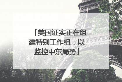 美国证实正在组建特别工作组，以监控中东局势