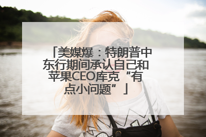 美媒爆：特朗普中东行期间承认自己和苹果CEO库克“有点小问题”