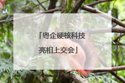粤企硬核科技亮相上交会