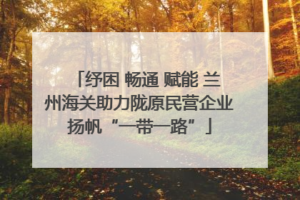 纾困 畅通 赋能 兰州海关助力陇原民营企业扬帆“一带一路”