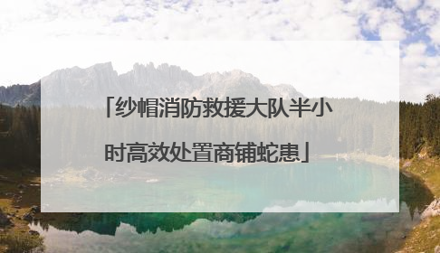 纱帽消防救援大队半小时高效处置商铺蛇患