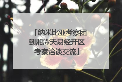 纳米比亚考察团到湘潭天易经开区考察洽谈交流