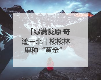 绿满陇原·奇迹三北｜梭梭林里种“黄金” 高台治沙致富很“从容”