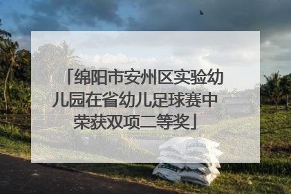绵阳市安州区实验幼儿园在省幼儿足球赛中荣获双项二等奖