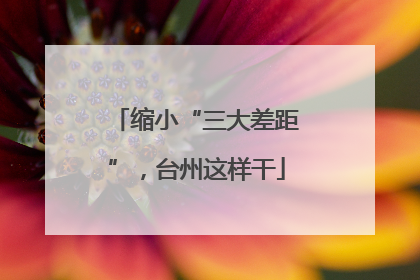 缩小“三大差距”，台州这样干