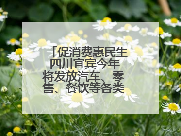 促消费惠民生 四川宜宾今年将发放汽车、零售、餐饮等各类消费券2亿元