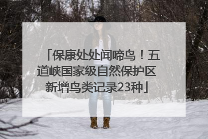 保康处处闻啼鸟！五道峡国家级自然保护区新增鸟类记录23种