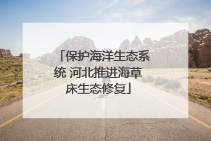 保护海洋生态系统 河北推进海草床生态修复