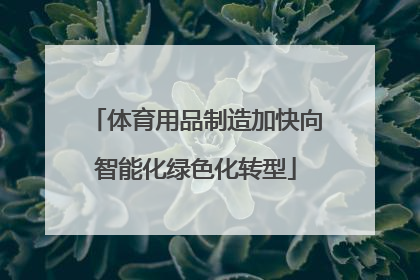 体育用品制造加快向智能化绿色化转型