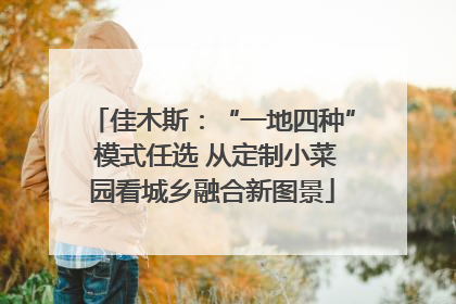 佳木斯：“一地四种” 模式任选 从定制小菜园看城乡融合新图景