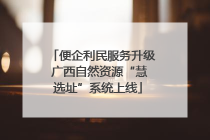 便企利民服务升级 广西自然资源“慧选址”系统上线