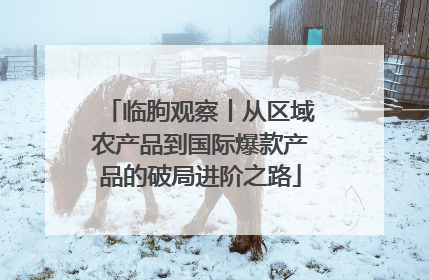 临朐观察丨从区域农产品到国际爆款产品的破局进阶之路