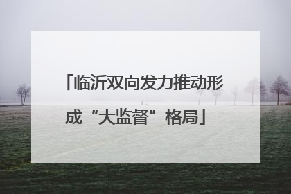 临沂双向发力推动形成“大监督”格局