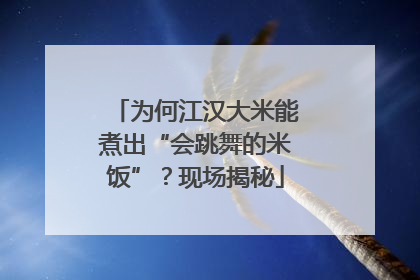 为何江汉大米能煮出“会跳舞的米饭”？现场揭秘