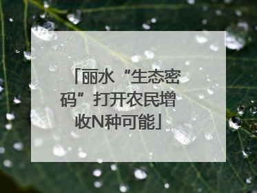 丽水“生态密码”打开农民增收N种可能