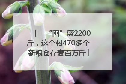 一“囤”盛2200斤，这个村470多个新粮仓存麦百万斤