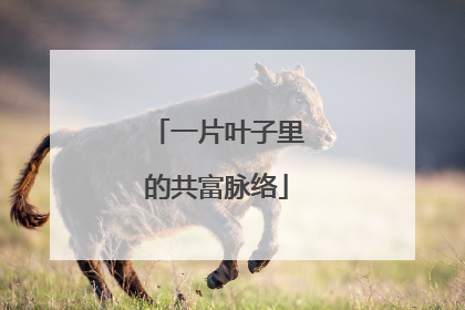 一片叶子里的共富脉络