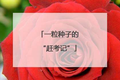 一粒种子的“赶考记”