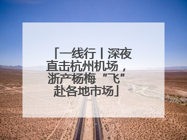 一线行丨深夜直击杭州机场，浙产杨梅“飞”赴各地市场