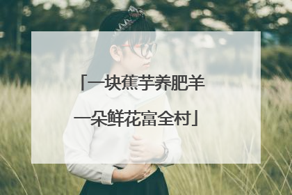 一块蕉芋养肥羊 一朵鲜花富全村