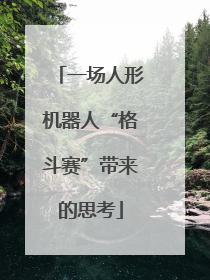 一场人形机器人“格斗赛”带来的思考