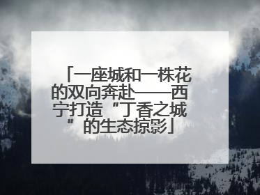 一座城和一株花的双向奔赴——西宁打造“丁香之城”的生态掠影