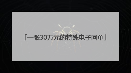一张30万元的特殊电子回单
