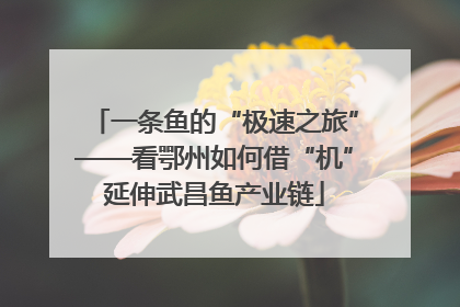 一条鱼的“极速之旅”——看鄂州如何借“机”延伸武昌鱼产业链