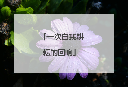 一次自我耕耘的回响