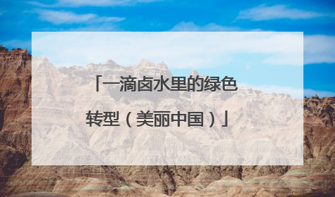 一滴卤水里的绿色转型（美丽中国）