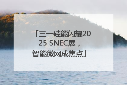 三一硅能闪耀2025 SNEC展，智能微网成焦点