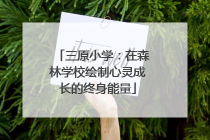 三原小学：在森林学校绘制心灵成长的终身能量