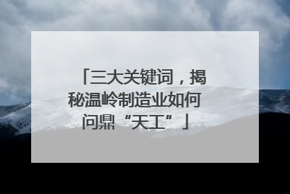 三大关键词，揭秘温岭制造业如何问鼎“天工”