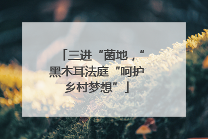 三进“菌地，”黑木耳法庭“呵护乡村梦想”