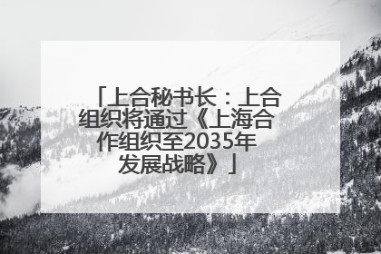 上合秘书长：上合组织将通过《上海合作组织至2035年发展战略》
