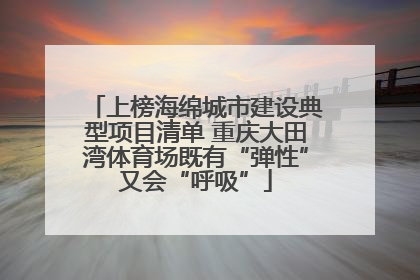 上榜海绵城市建设典型项目清单 重庆大田湾体育场既有“弹性”又会“呼吸”
